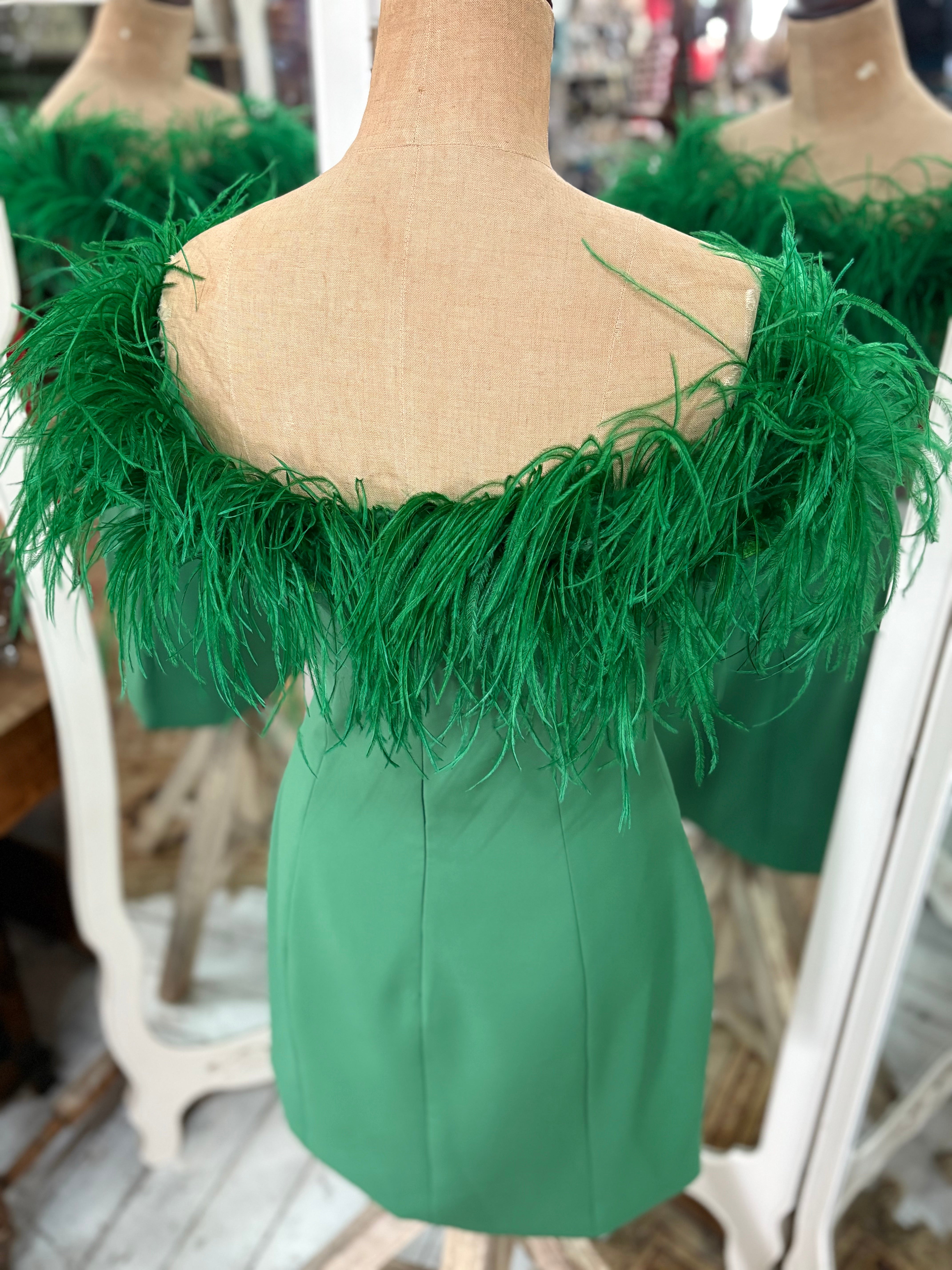'Bianca and Bridgett' Off The Shoulder Feather Trimmed Dress