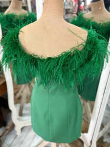 'Bianca and Bridgett' Off The Shoulder Feather Trimmed Dress
